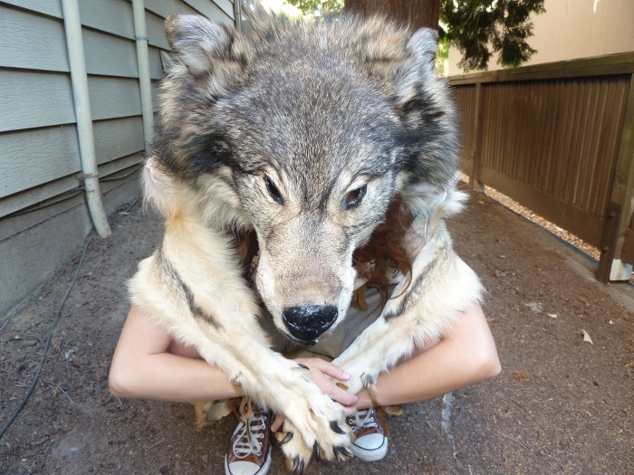 Grey wolf fur mask + tail by lupagreenwolf on DeviantArt