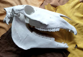 Big ol' horse skull (for sale)