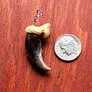 Wolf claw pendant