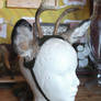 New Real Deer Antler and Ear Sets