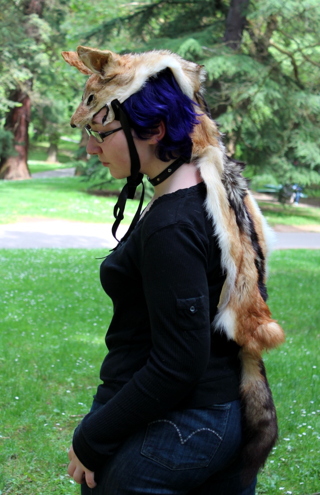 Black-backed Jackal Headdress