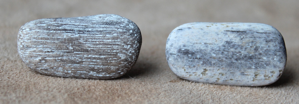 Petrified Wood Post Earrings (Gray)