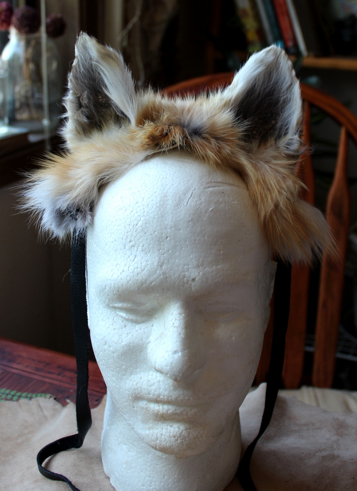 New Fox Ears - 5-27-15