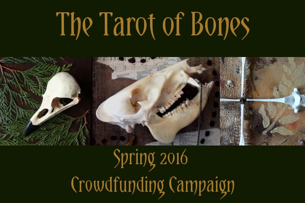 The Tarot of Bones IndieGoGo is live!