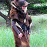 Cinnamon Black Bear Headdress