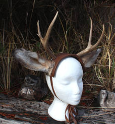 Real Antlers and Deer Ears Headdress