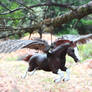 Logan - custom Breyer pegasus