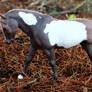 Woodland - Custom Breyer Cantering Welsh Pony