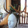 Wearable Antlers!