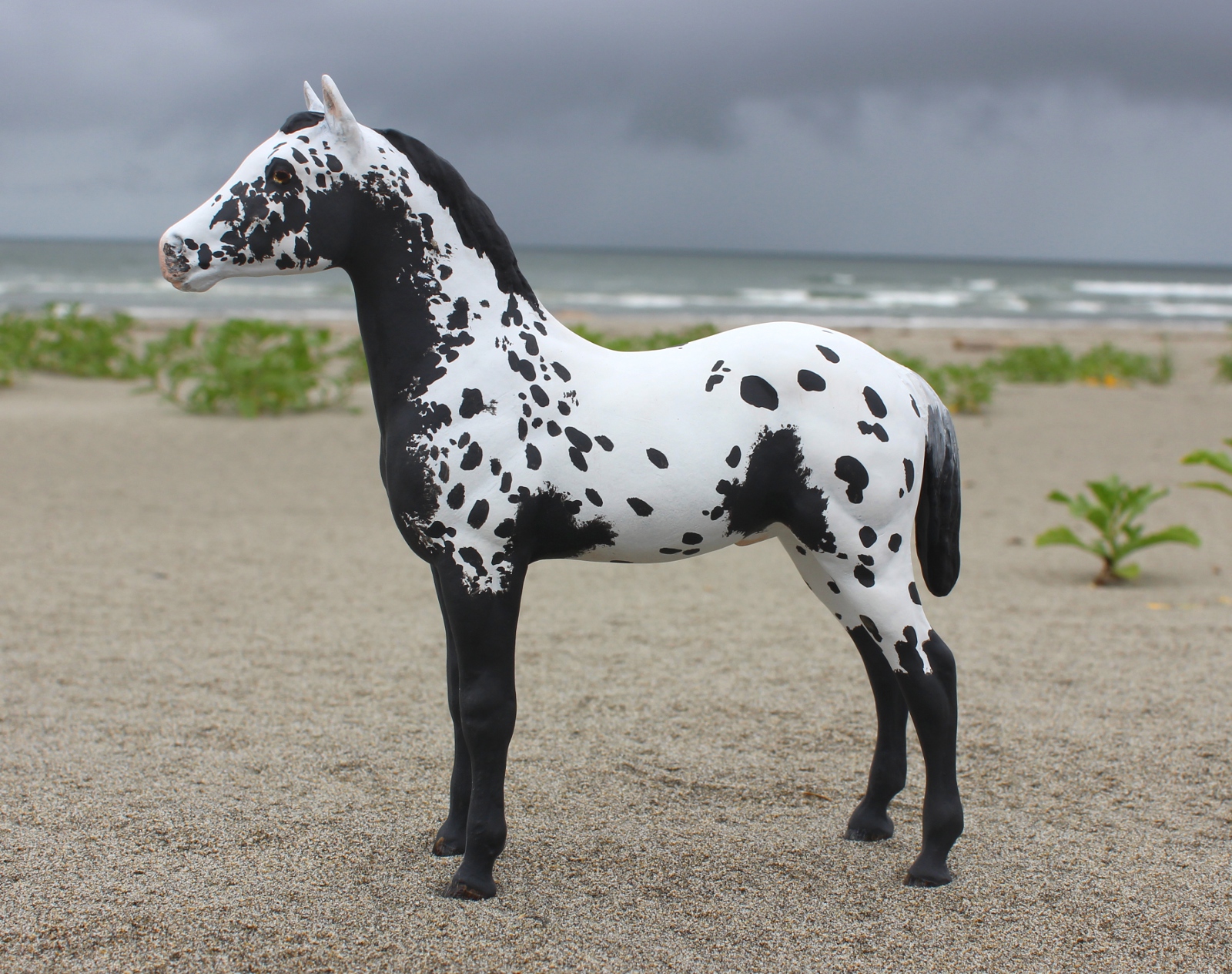 Crow Tracks - Custom Breyer Appaloosa Foal
