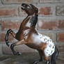 Canno nball - Custom Hartland Appaloosa