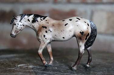 Adagio - Custom Appaloosa Breyer Indian Pony