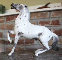 Clarion - Custom Hartland Semi-rearing Horse