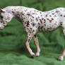 Helena - Breyer Custom Stablemate Indian Pony