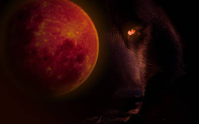 Blood-moon