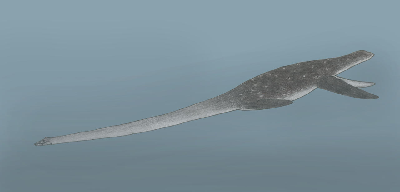 Albertonectes vanderveldei by FilipMociliak on DeviantArt