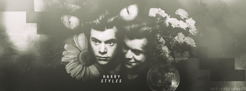 +HarryLatigableStyles