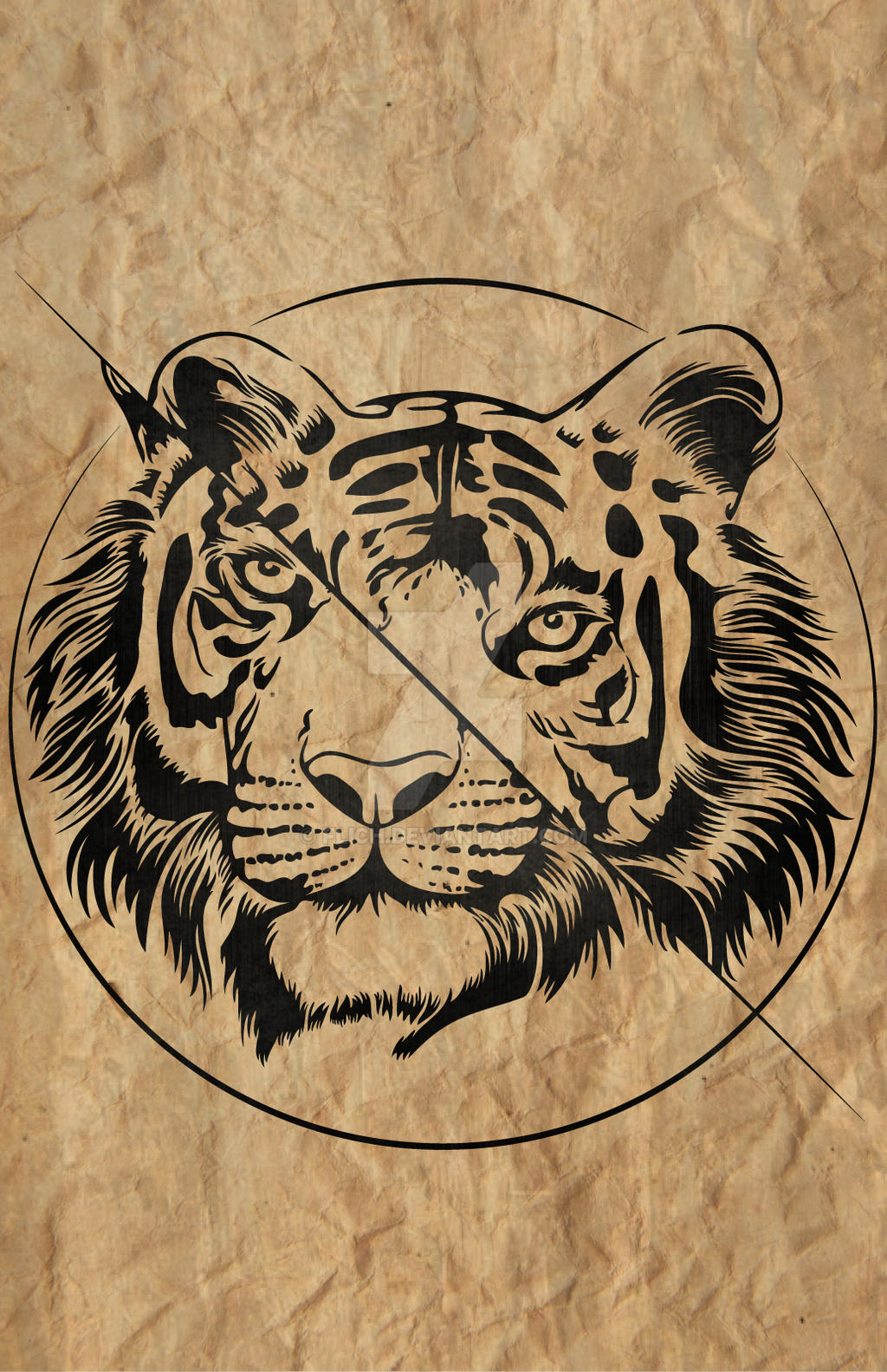 Tiger Split