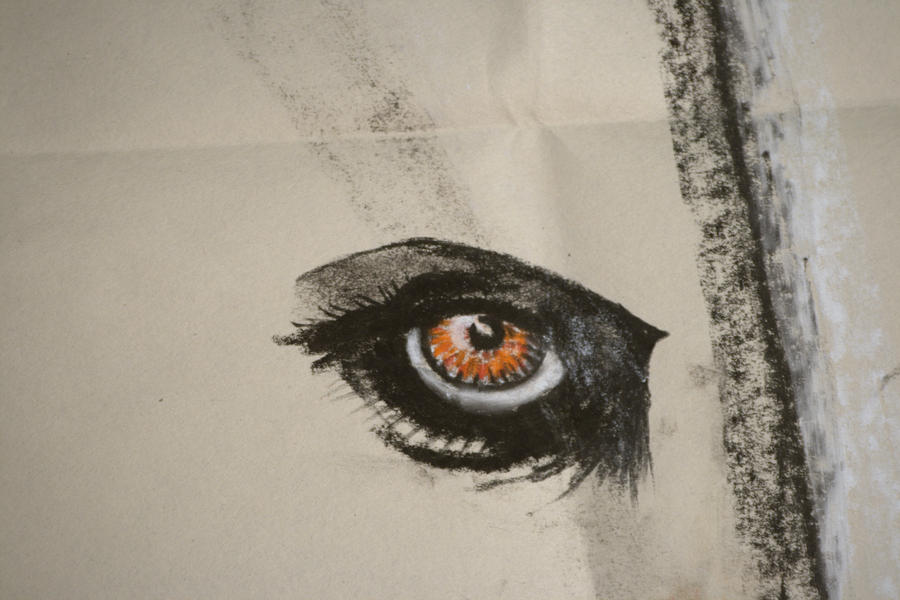 Visual Obsession eye obsession by FreeSoup on DeviantArt