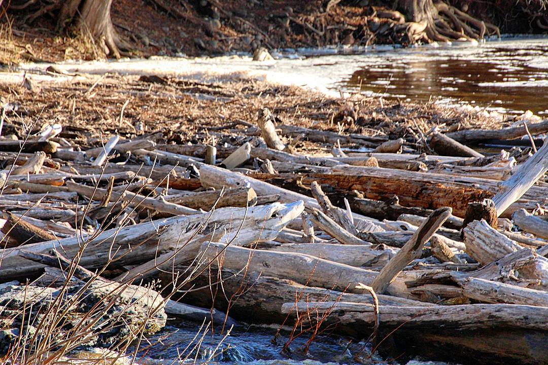 Logjam Logjam by sequential on DeviantArt