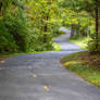 Anderson Lakes winding path