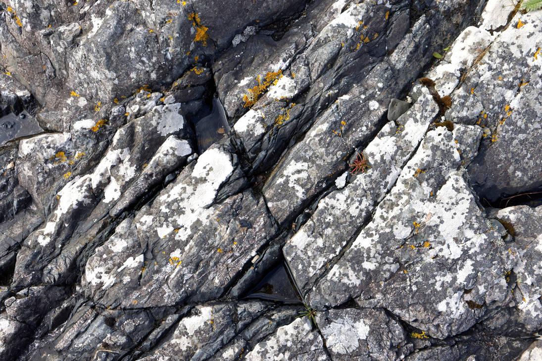 Deep lines and crevices by sequential on DeviantArt