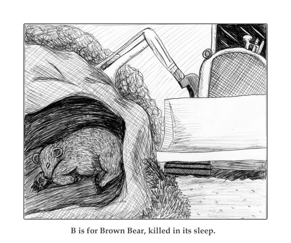 B is for Brown Bear