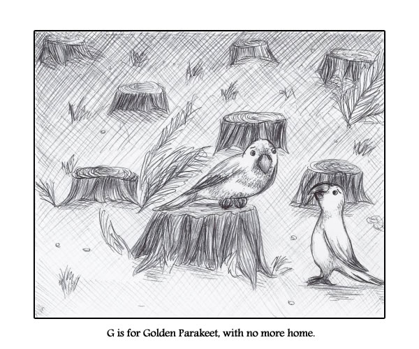 G is for Golden Parakeet