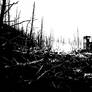 Alone, where I can see