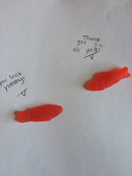 A normal conversation with Swedish fish 