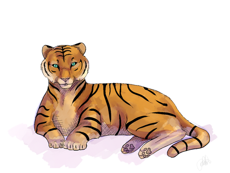 tiger