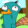 Its Perry, bit$h