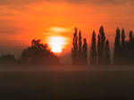 sunrise by Raabe-Elryon