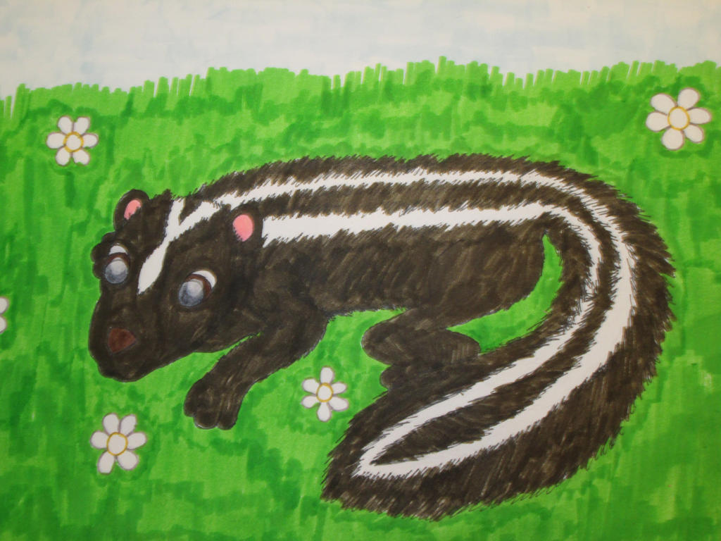 A SKUNK!