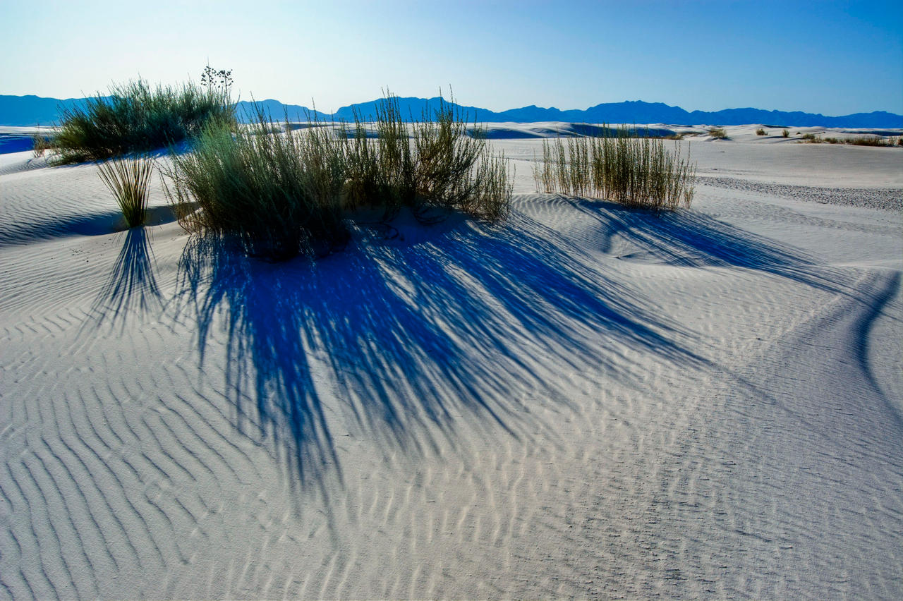 Sun Down On The Dunes