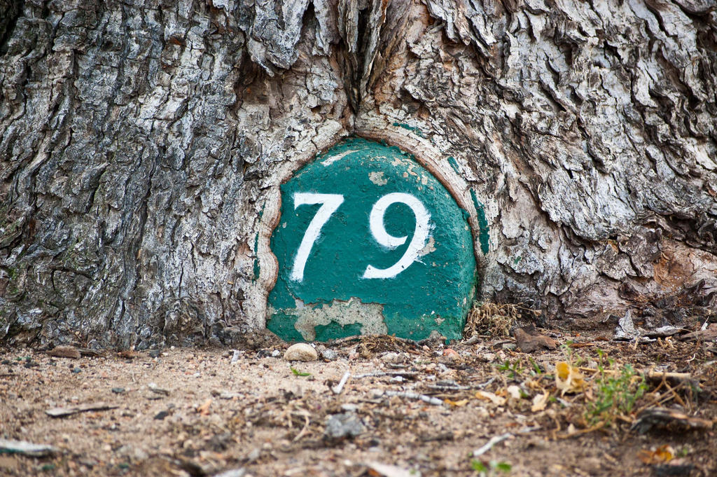 #79 Bag End, Hobbiton