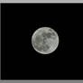 Fullmoon 3.1
