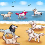Beach Exploration by Terrwyn-16arpg