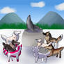 Seal Hunting