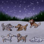 Nighttime in the Snow