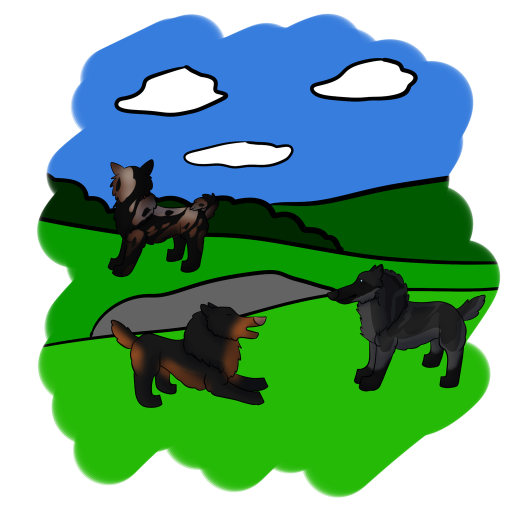 Adventure 11