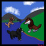Fishing 27