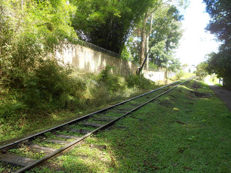 Brazilian Railroad 1