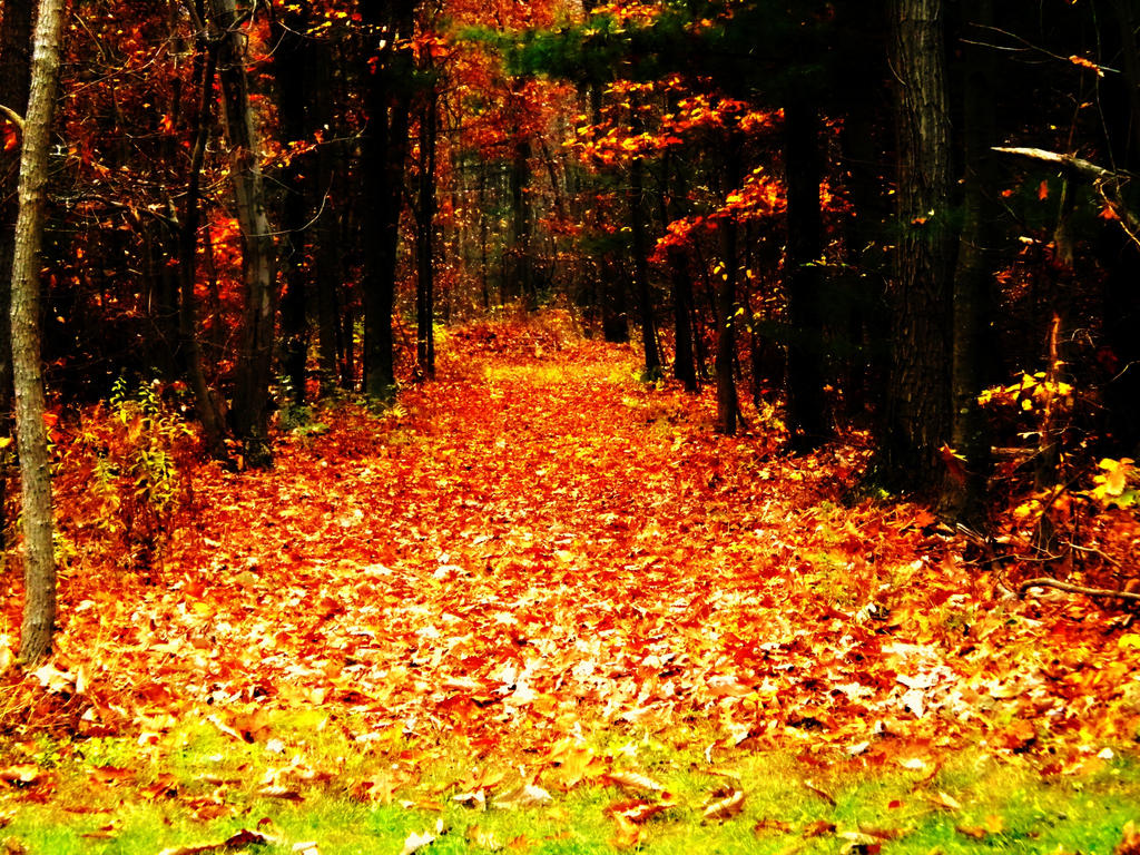 You re Gonna Fall In Love With This By FallLover16 On DeviantArt you-re-gonna-fall-in-love-with-this-by-falllover16-on-deviantart