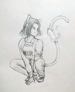 Android 17 - CAT :)