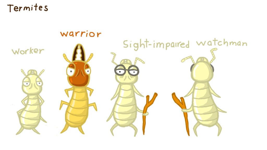 Termite Designs: Sheila and Beelah Concept Design by Goodlyman100 on ...