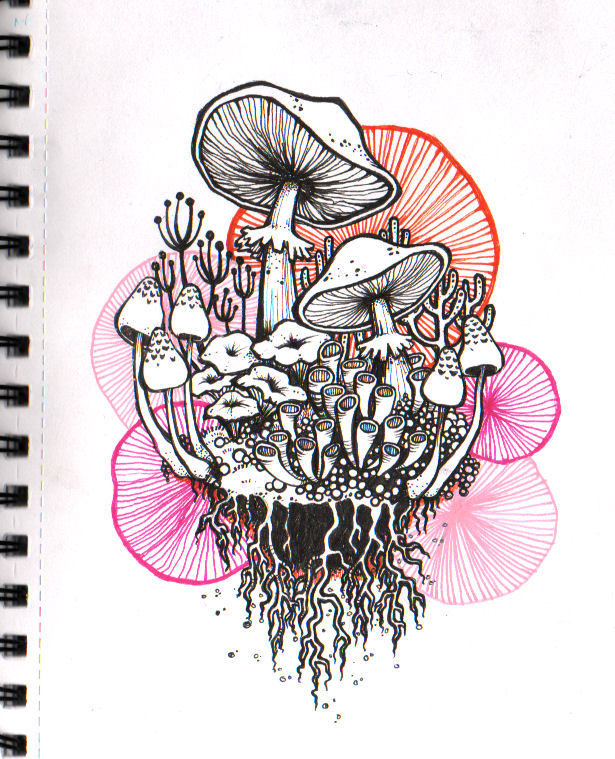 Shrooms