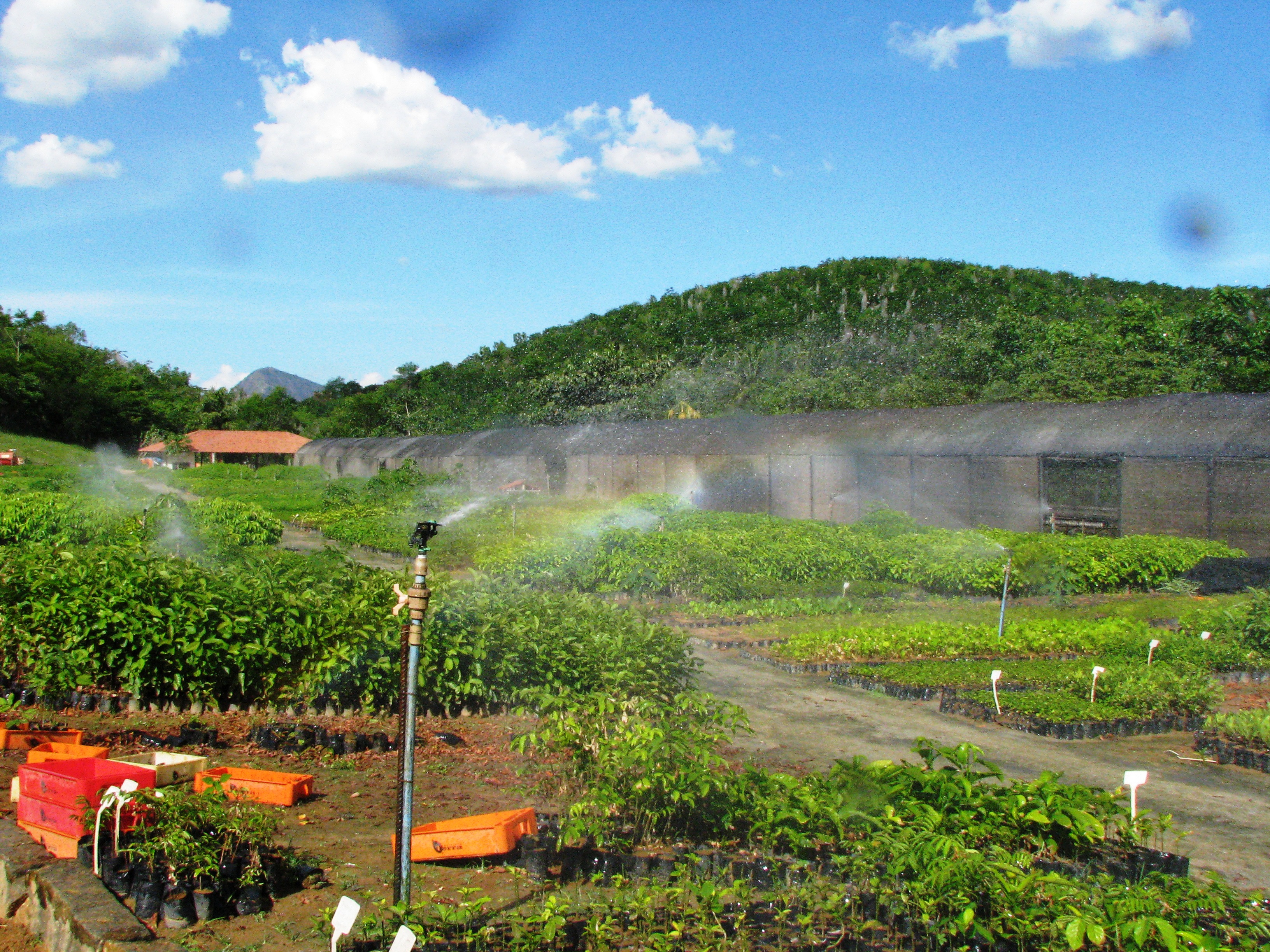 Plant Sanctuary