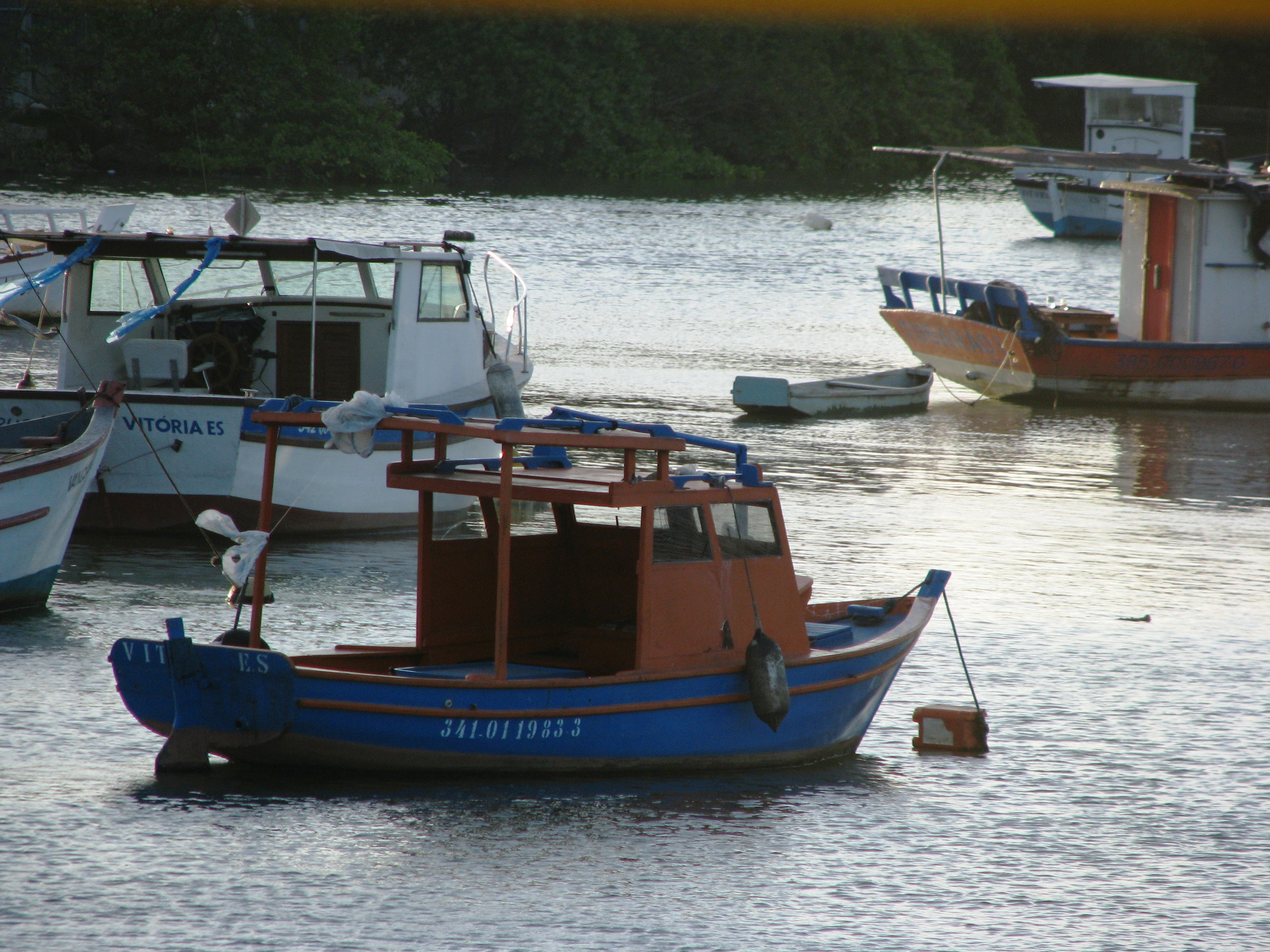 Docked Boats