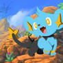 Pokemon Art Academy - Shinx